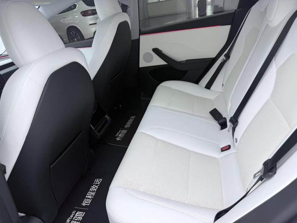 Tesla Model 3 2024 imagem de carro #27