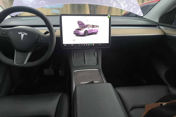 Tesla Model Y 2022 car image #10