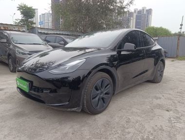 Tesla Model Y 2024 car image 