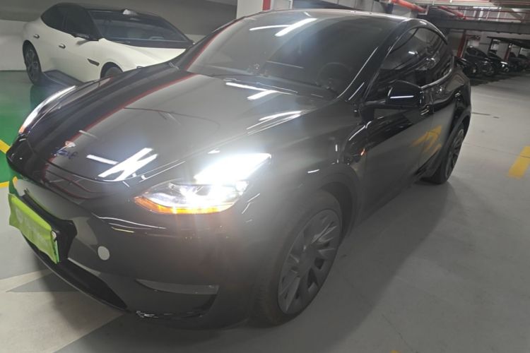 Tesla Model Y 2021 #2 Tesla Model Y 2021 car image #2