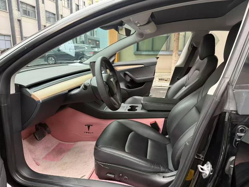 Tesla Model 3 2022 car image #7
