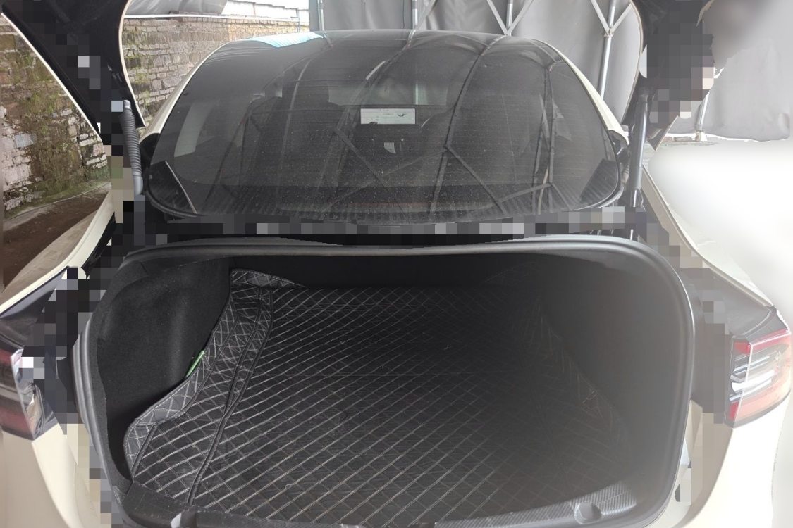 Tesla Model 3 2021 car image #8