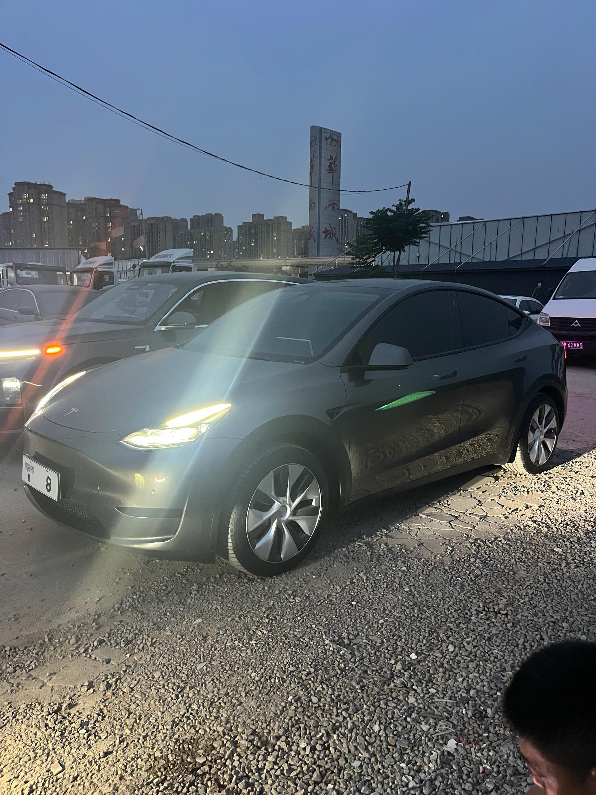 Tesla Model Y 2023 Tesla Model Y 2023 car image
