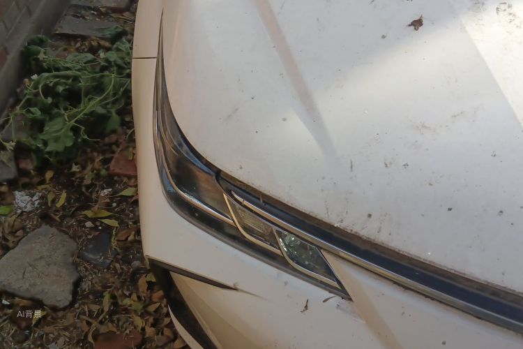 Toyota Corolla 2021 car image #8