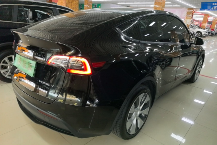 Tesla Model Y 2021 #7 Tesla Model Y 2021 car image #7