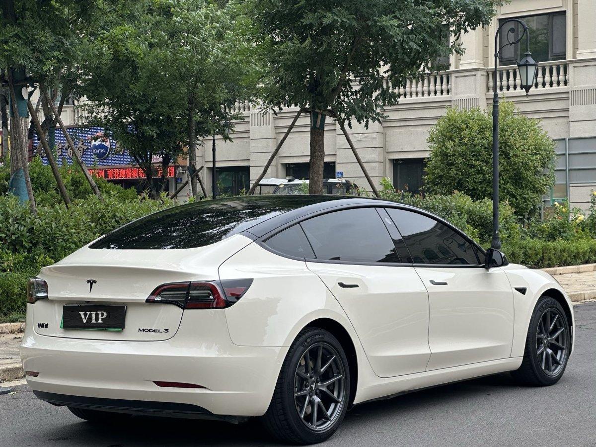 Tesla Model 3 2021 #7 Tesla Model 3 2021 car image #7