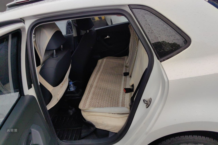 Volkswagen Polo 2014 car image #19