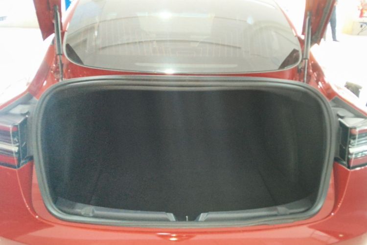 Tesla Model 3 2020 #21 Tesla Model 3 2020 car image #21