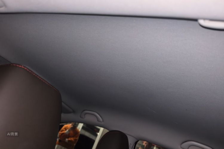 Volkswagen Polo 2017 car image #20