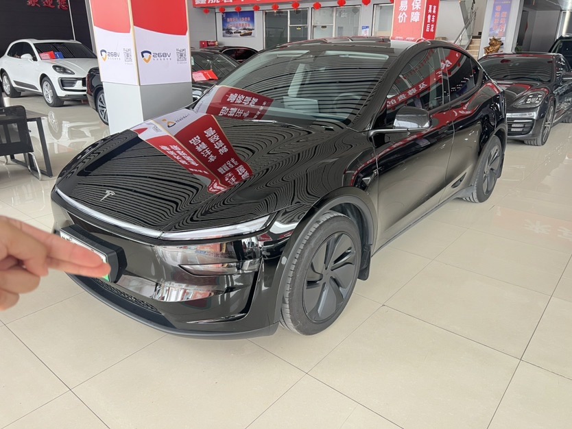Tesla Model Y 2025 Tesla Model Y 2025 car image