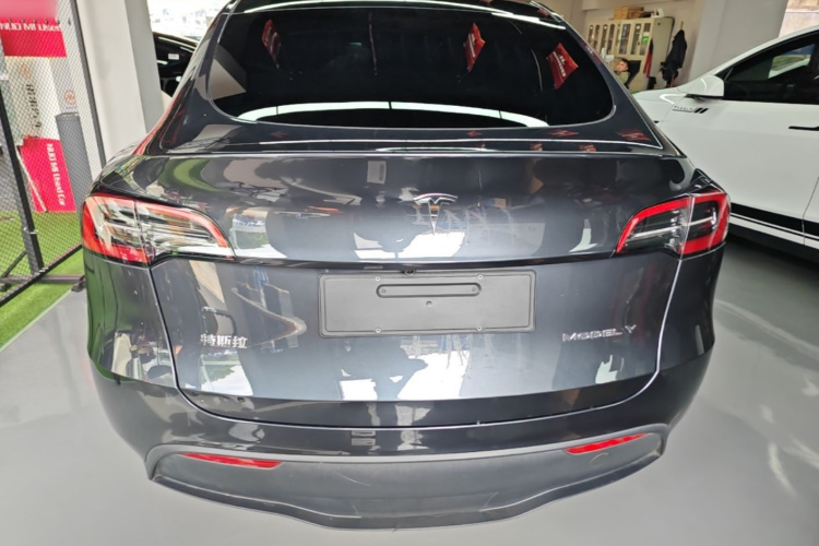 Tesla Model Y 2024 car image #6