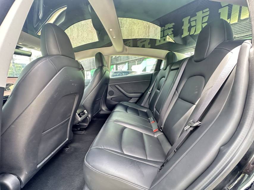 Tesla Model 3 2022 car image #9