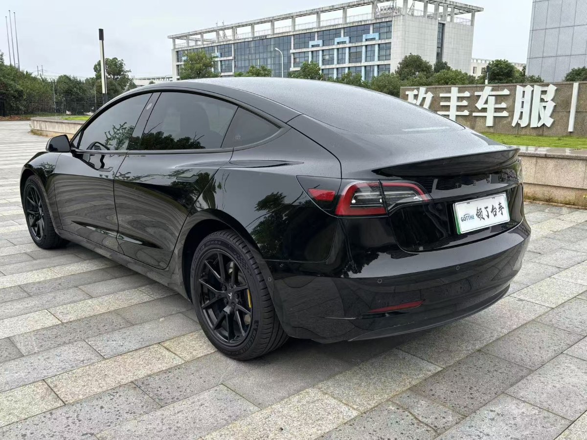 Tesla Model 3 2023 #6 Tesla Model 3 2023 car image #6