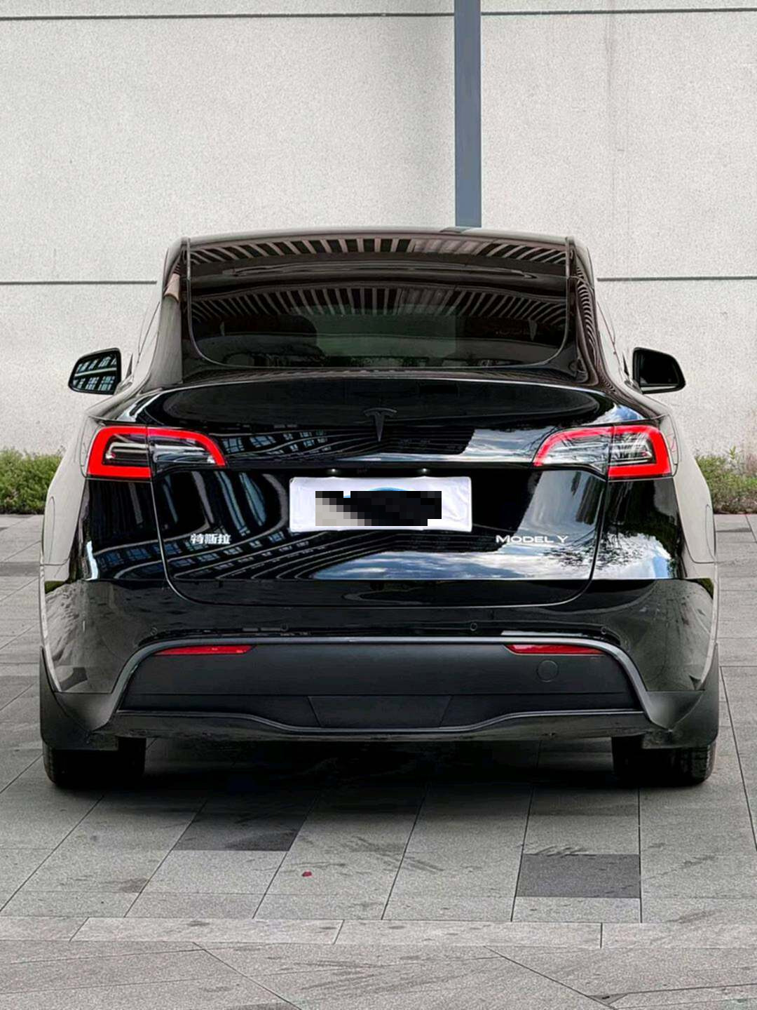 Tesla Model Y 2021 #6 Tesla Model Y 2021 car image #6