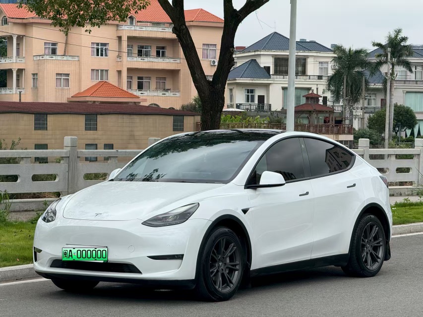 Tesla Model Y 2021 car image 