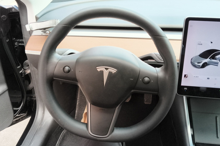 Tesla Model 3 2020 car image #11