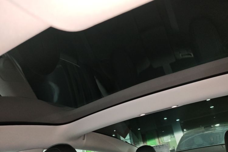 Tesla Model 3 2020 #20 Tesla Model 3 2020 car image #20