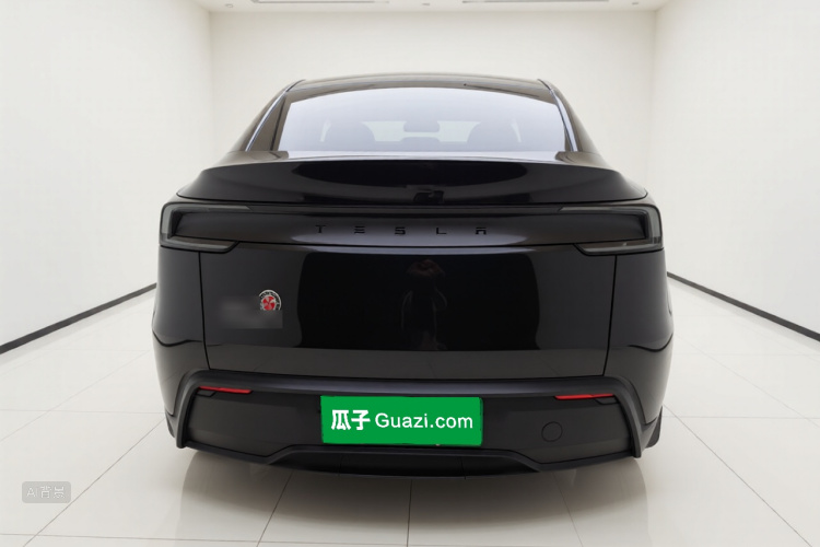 Tesla Model Y 2025 car image #6