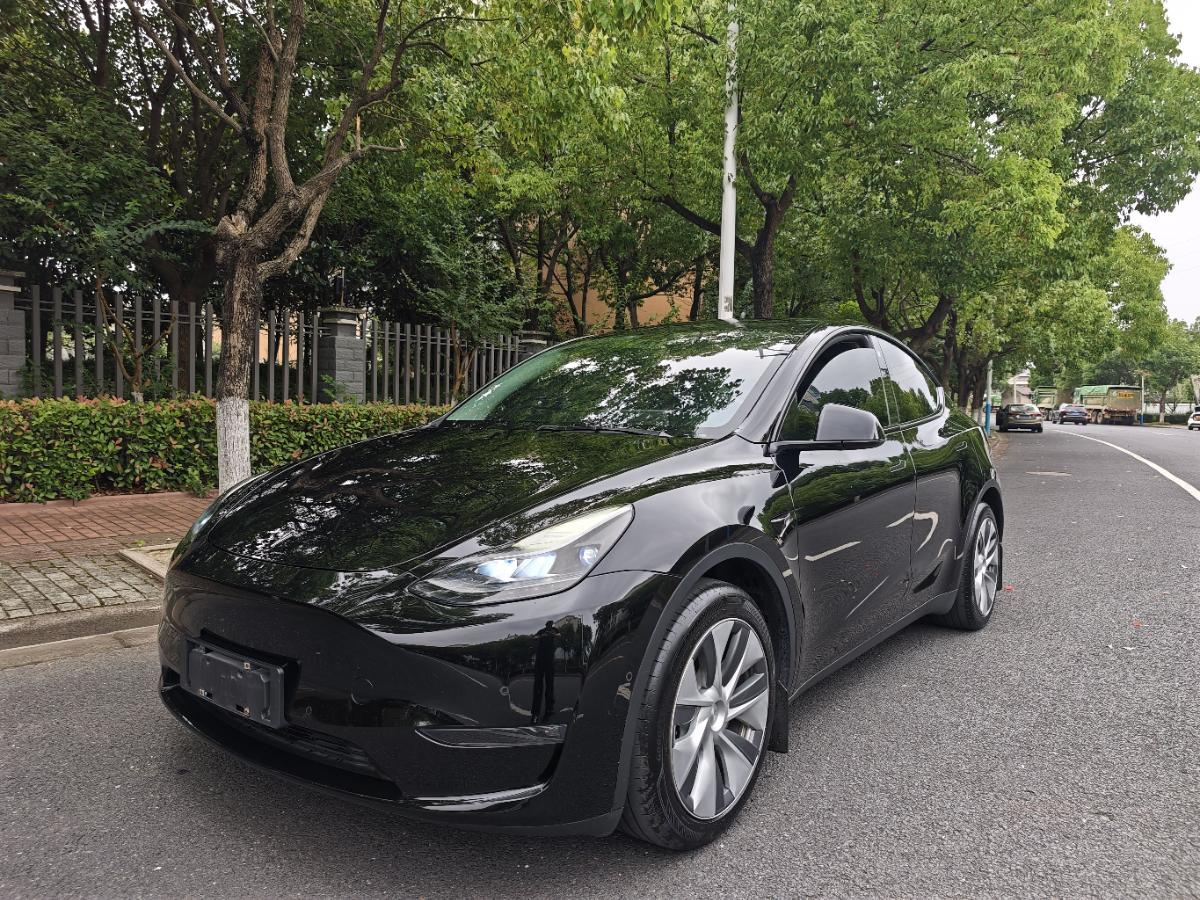 Tesla Model Y 2021 Tesla Model Y 2021 car image