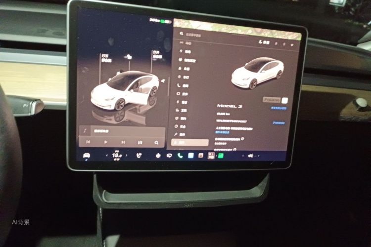 Tesla Model 3 2022 car image #15