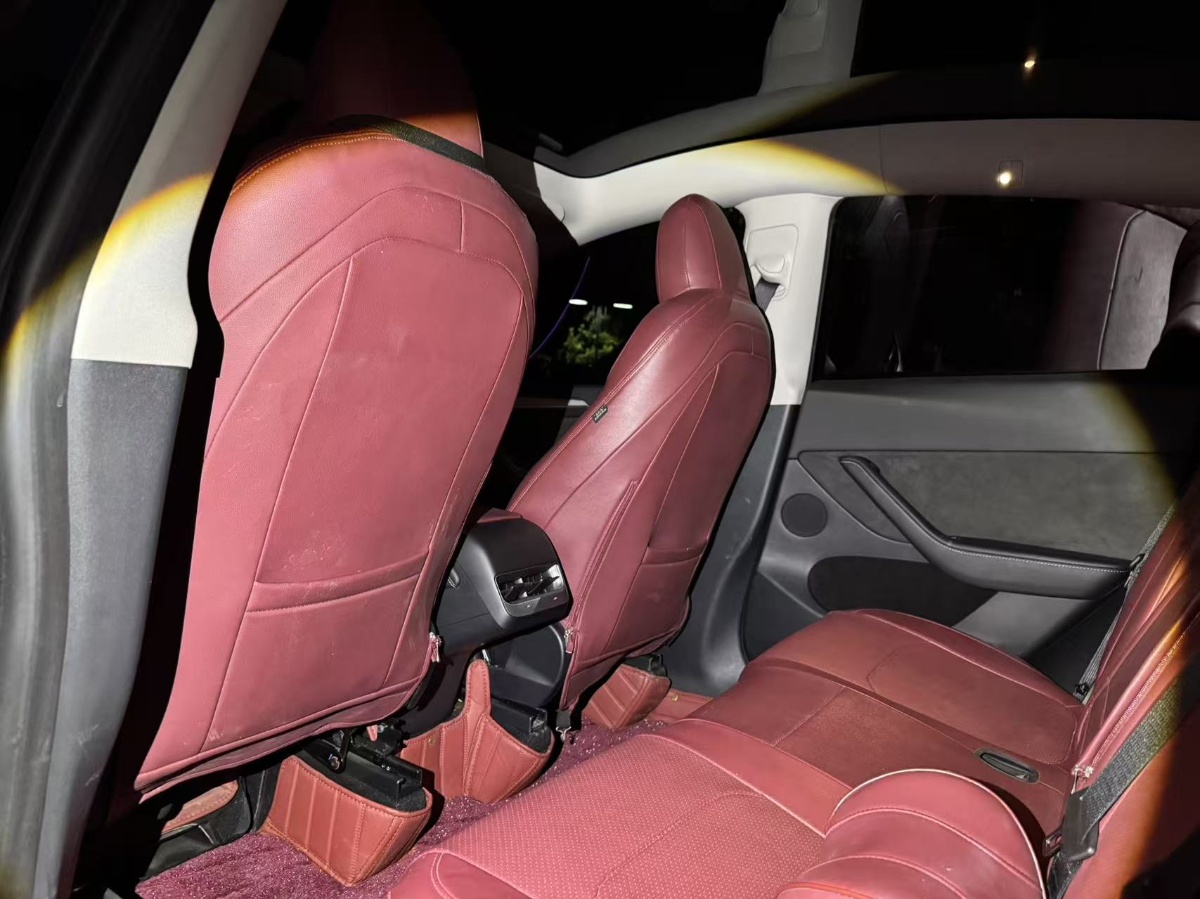 Tesla Model Y 2024 car image #3