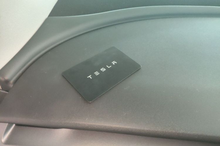 Tesla Model Y 2023 #14 Tesla Model Y 2023 car image #14