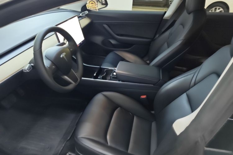 Tesla Model 3 2020 car image #15