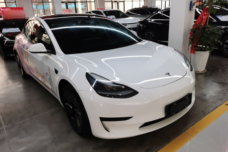 Tesla Model 3 2021 #6 Tesla Model 3 2021 immagine di auto #6