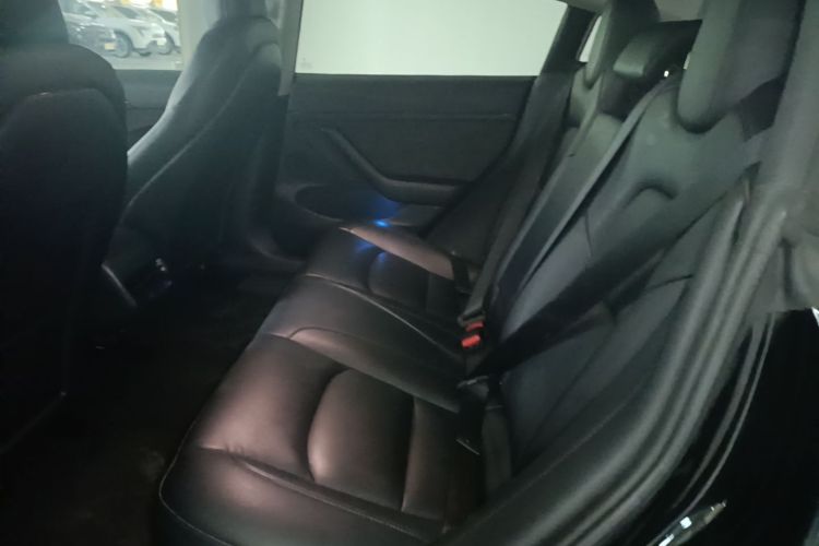 Tesla Model 3 2021 #13 Tesla Model 3 2021 car image #13