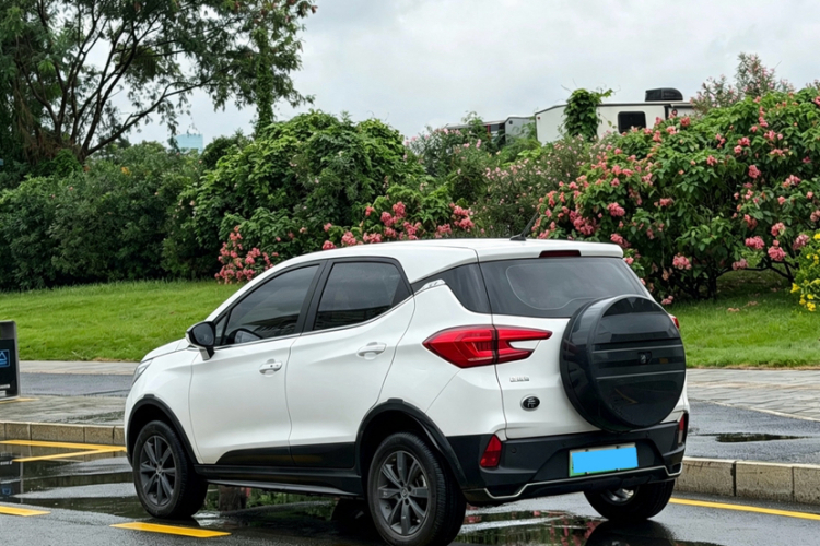 BYD Yuan New Energy 2019 immagine di auto #8