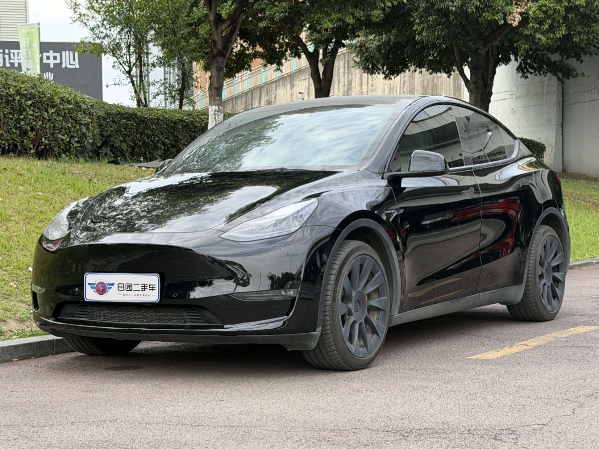 Tesla Model Y 2023 Tesla Model Y 2023 car image
