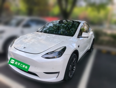 Tesla Model Y 2024 Tesla Model Y 2024 car image