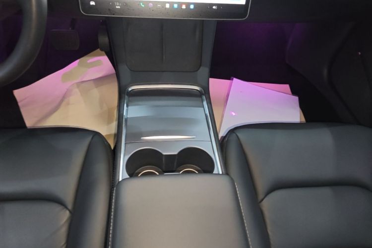 Tesla Model 3 2021 car image #14