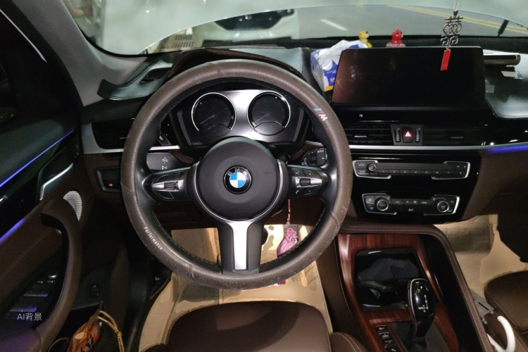 BMW X1 2021 car image #12