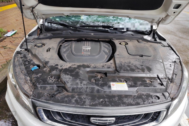GEELY Emgrand GL 2020 car image #22