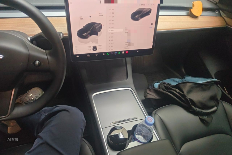 Tesla Model 3 2022 car image #15