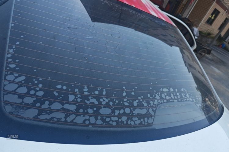 Volkswagen Santana 2019 #21 Volkswagen Santana 2019 car image #21