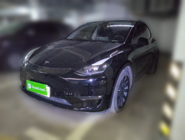 Tesla Model Y 2021 Tesla Model Y 2021 car image