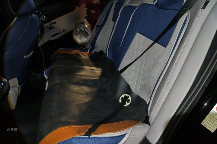 BYD Han 2024 immagine di auto #19