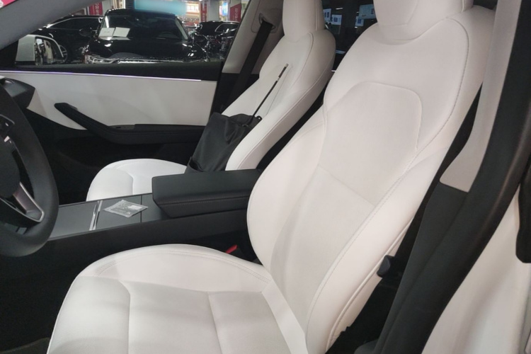 Tesla Model 3 2024 car image #15