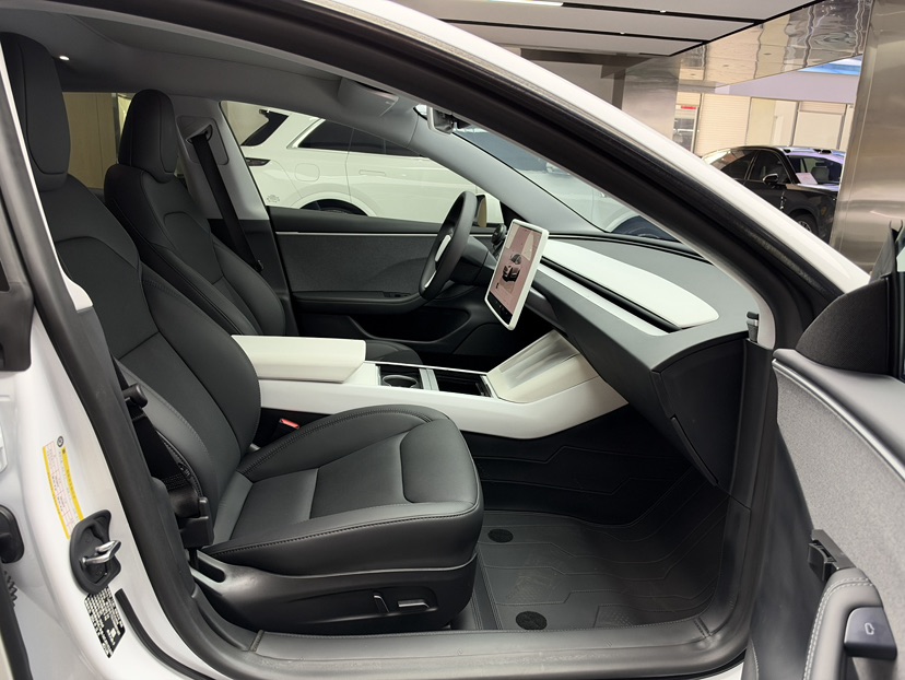 Tesla Model 3 2024 immagine di auto #3