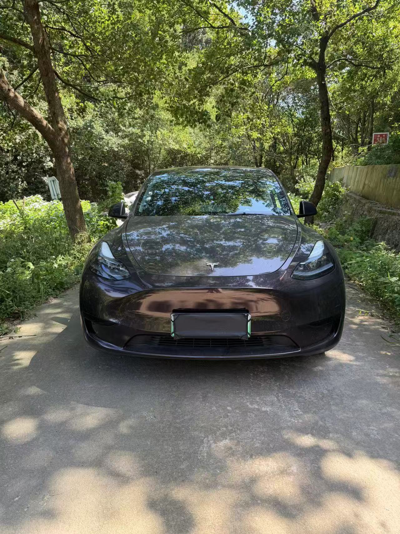 Tesla Model Y 2025 car image #2