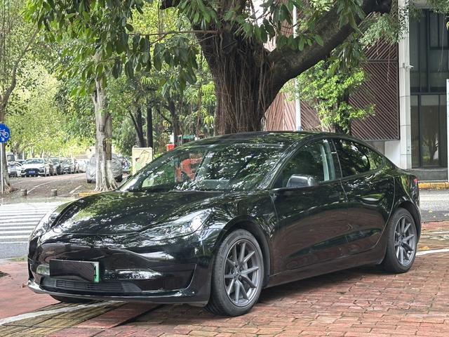 Tesla Model 3 2023 صورة سيارة #10