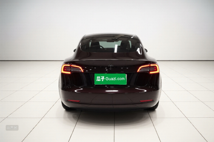 Tesla Model 3 2020 car image #6