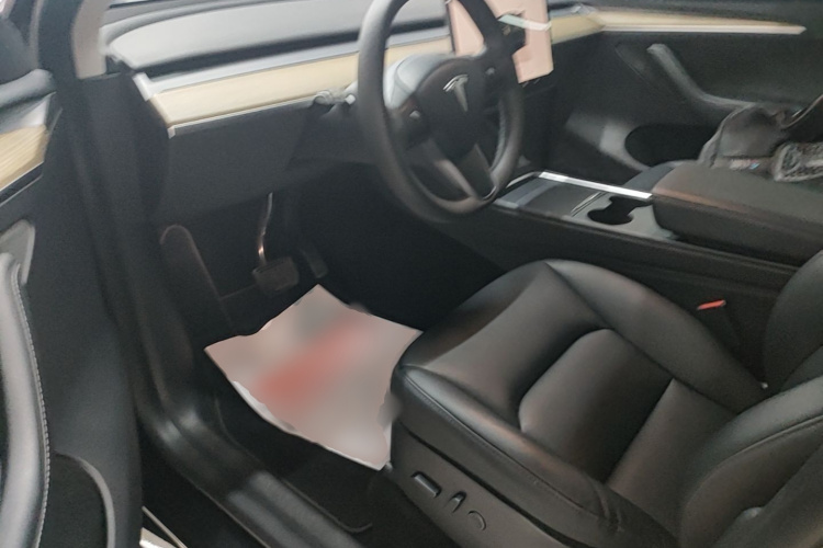 Tesla Model Y 2022 car image #16