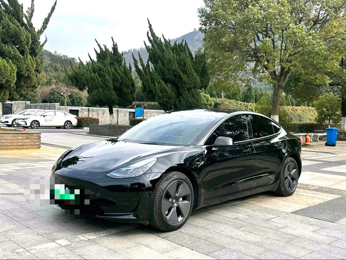 Tesla Model 3 2022 car image 