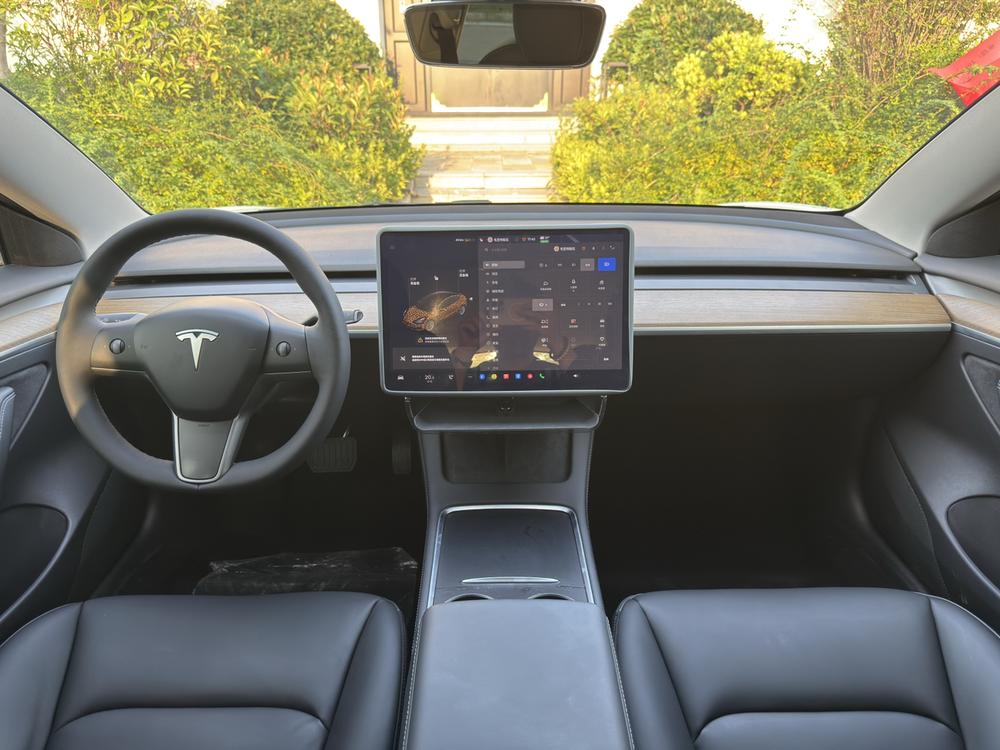 Tesla Model 3 2021 car image #9