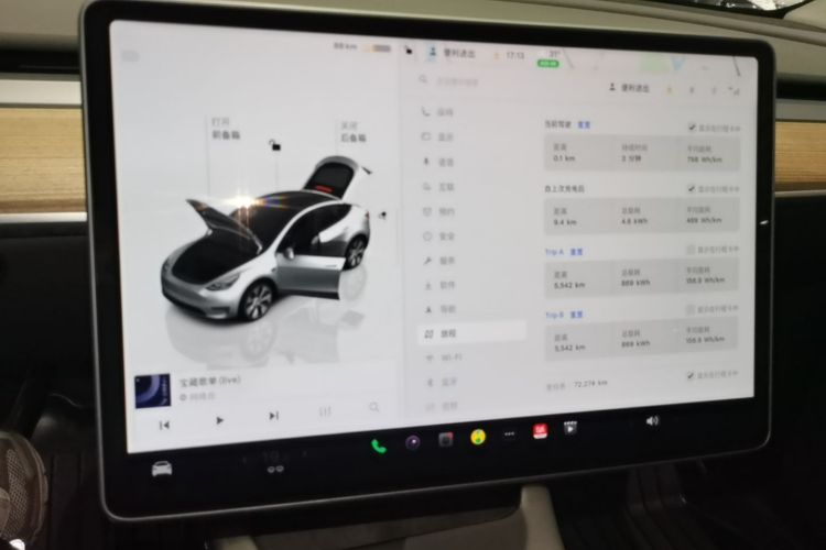 Tesla Model Y 2022 car image #13