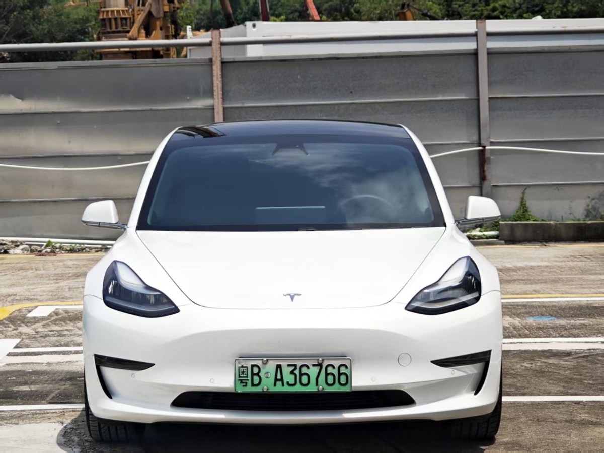 Tesla Model 3 2020 car image #2