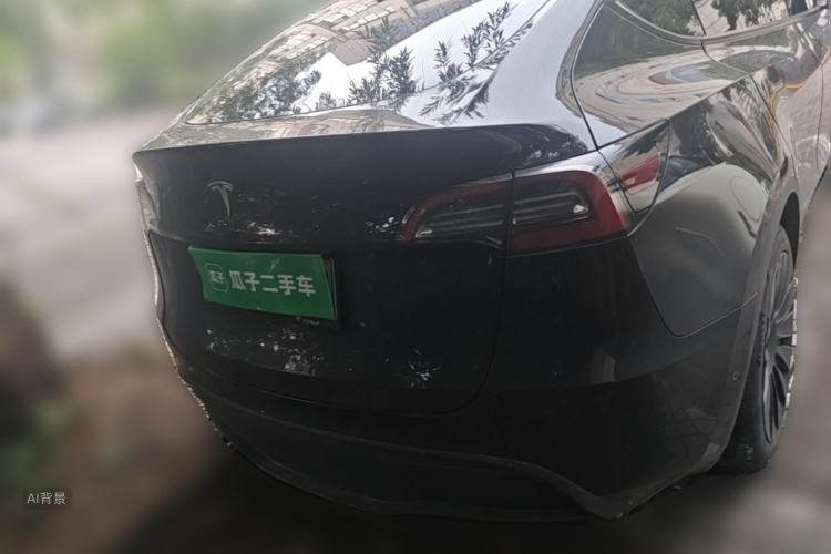 Tesla Model Y 2021 car image #6